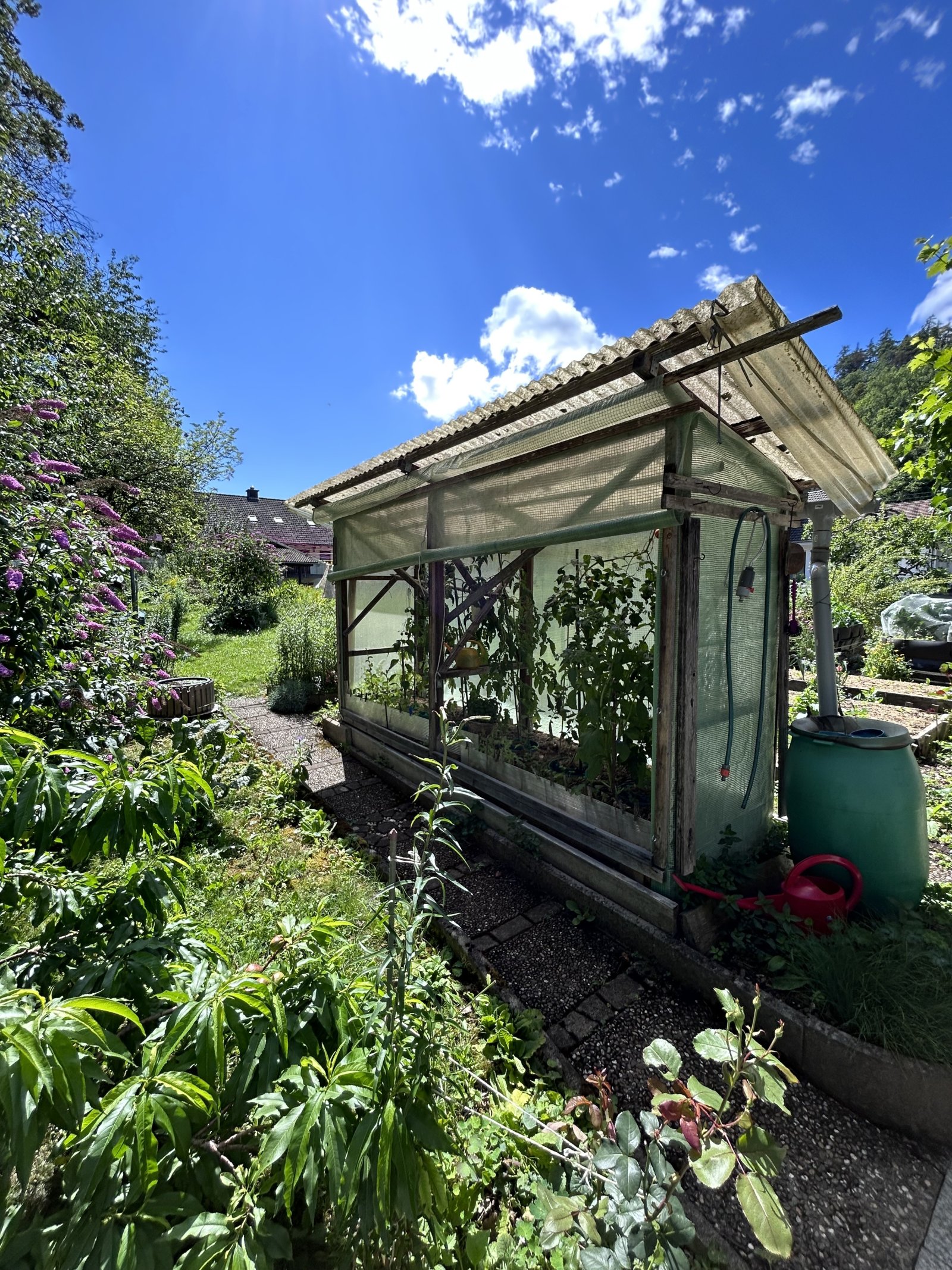 Tomatenhaus für den Gärtner mit dem grünen Daumen