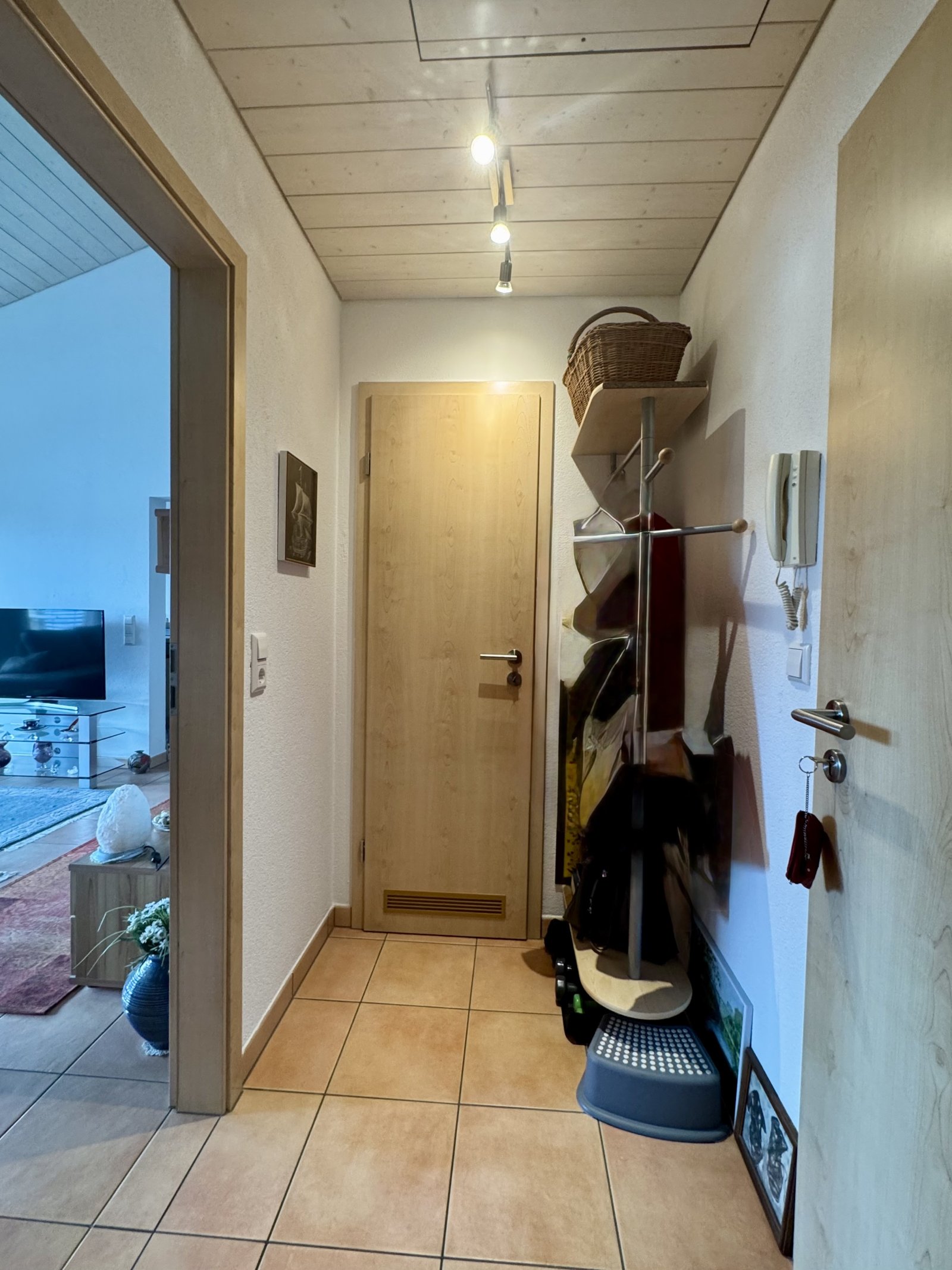 Flur mit Abstellraum und Speicherraum