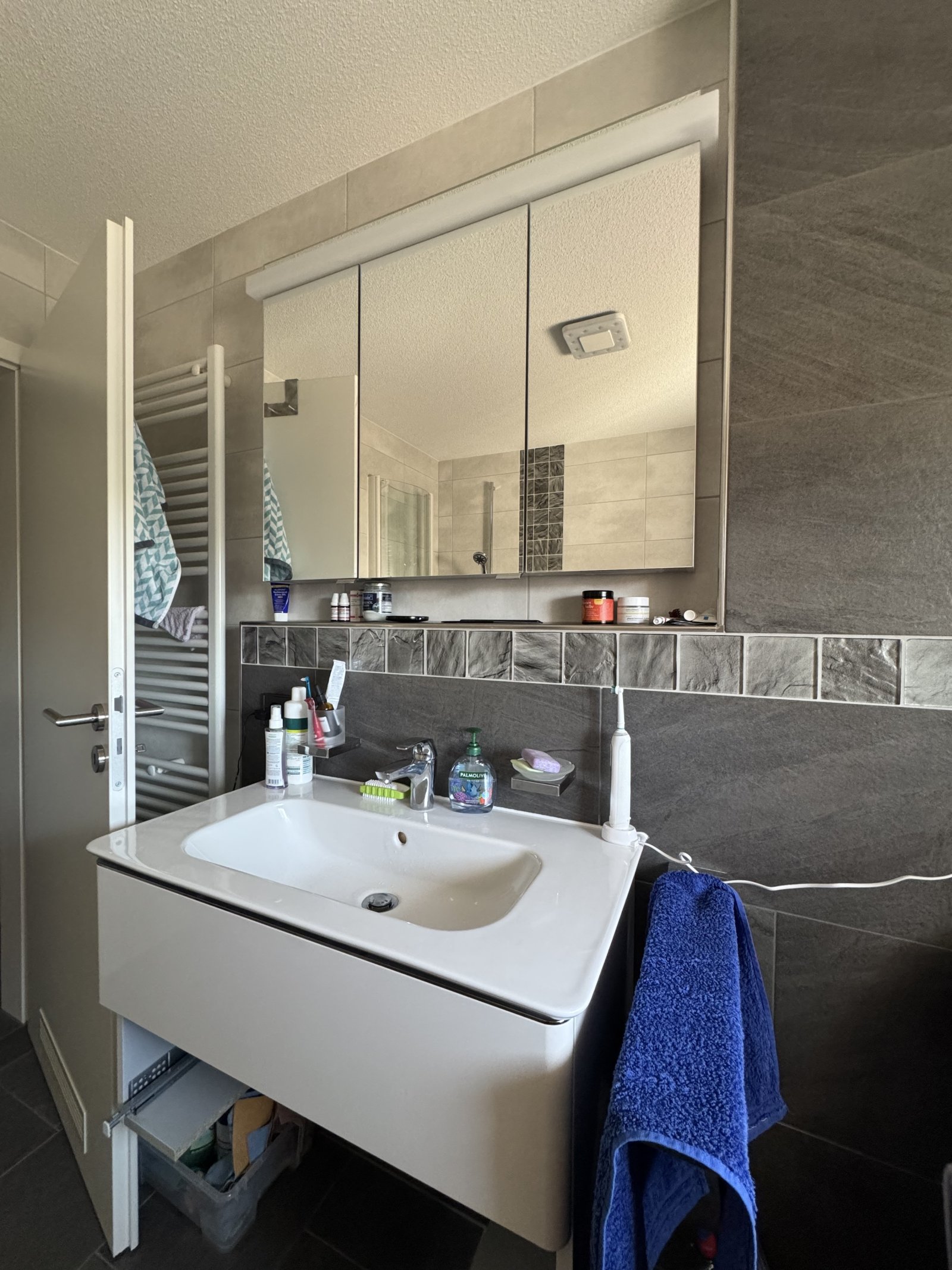 Hauptbad mit Waschtisch und Spiegelschrank