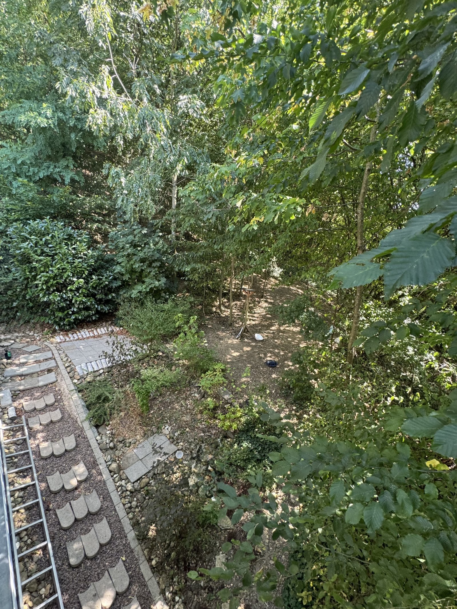 EG: Grün ums Haus EG: Grün ums Haus