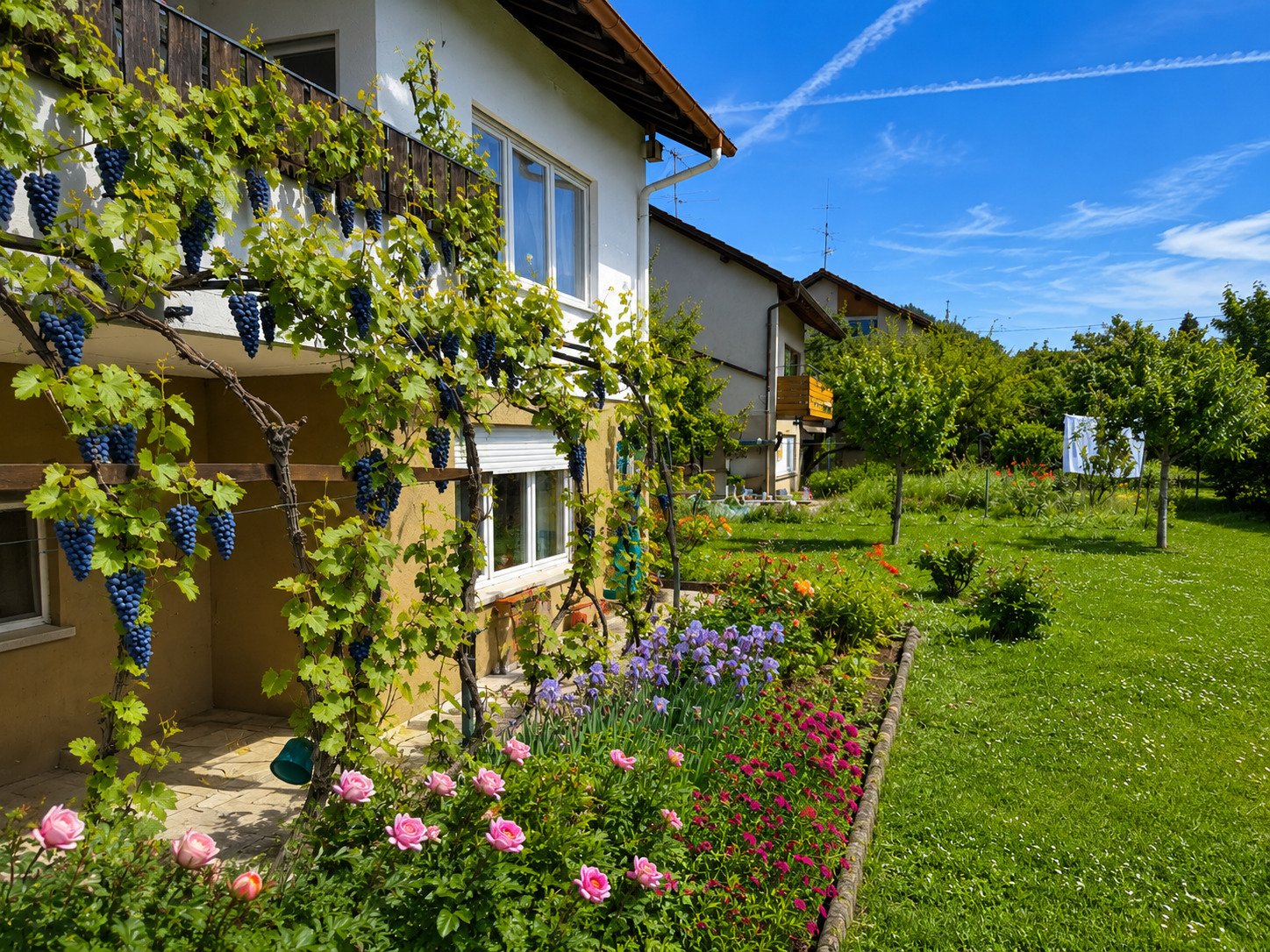 Hinter dem Haus Hinter dem Haus