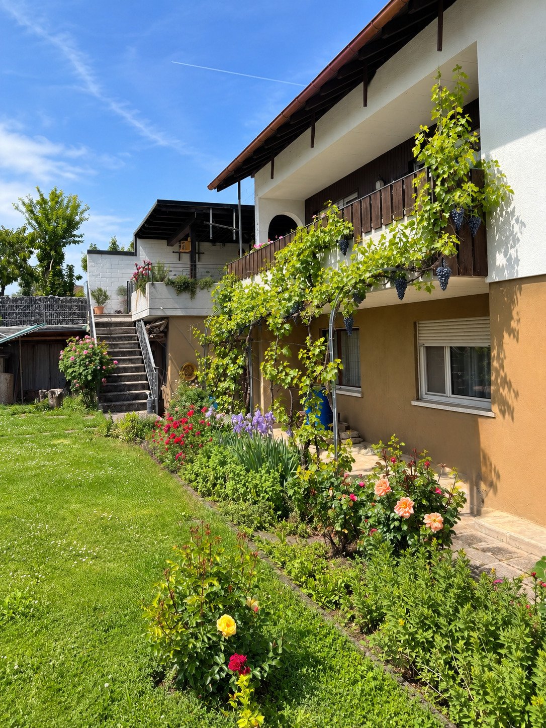 Hinter dem Haus Hinter dem Haus